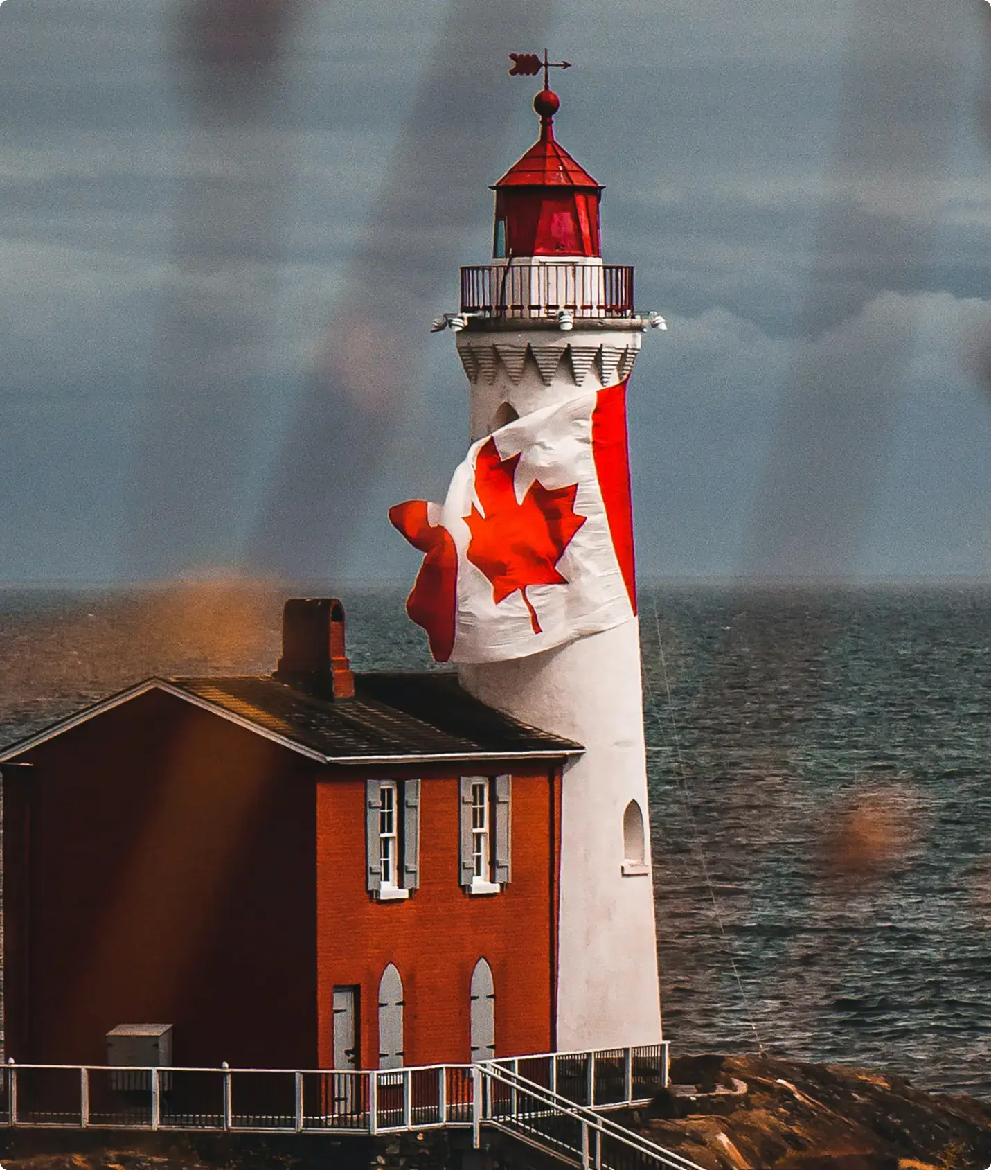 加拿大枫叶计划